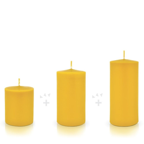 Lot de 3 piliers en cire d'abeille