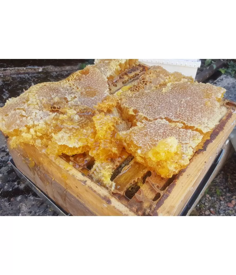 Cire d'abeille du rucher