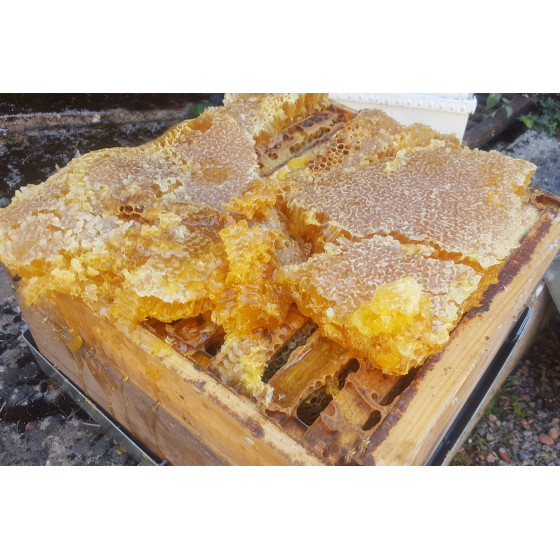 Savon naturel aux huiles végétales BIO - PURE PROPOLIS - La Belle de  Bourgogne