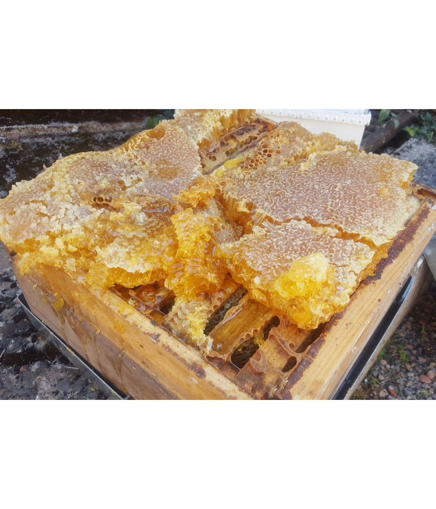 Cire d'abeille du rucher
