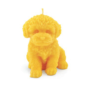 Bougie "Le Chien"