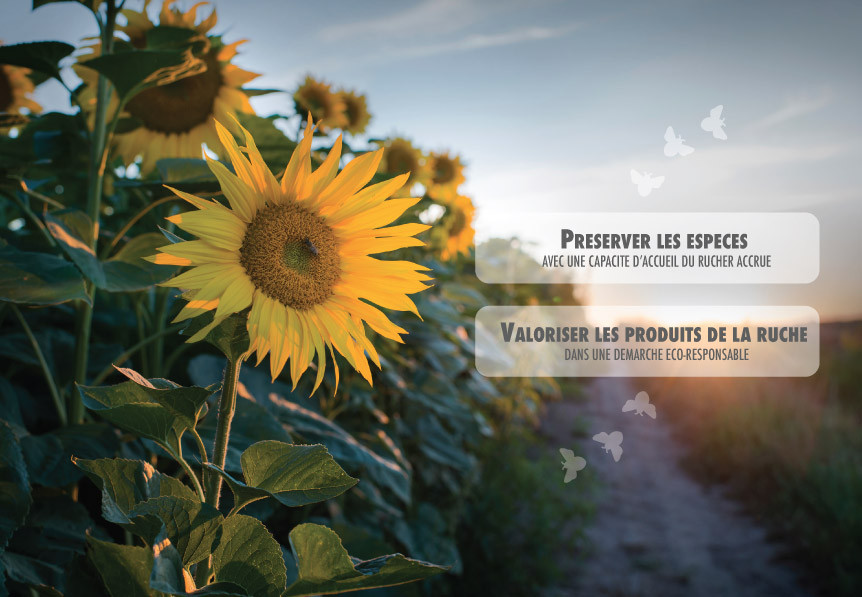 Cire d'abeille s'engage